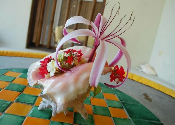 Villa La Perla Del Caribe San Pedro (Ambergris Caye)